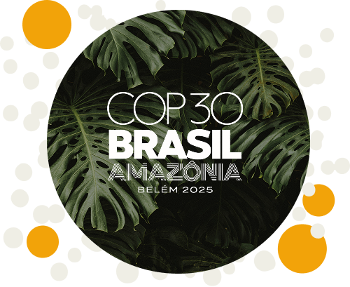 COP30 Brazil
